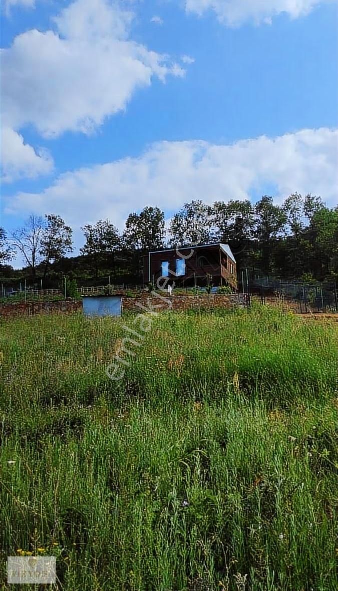 Kestel- Erdoğanköy 360 M² Satılık Manzaralı Tarla - Görsel 5
