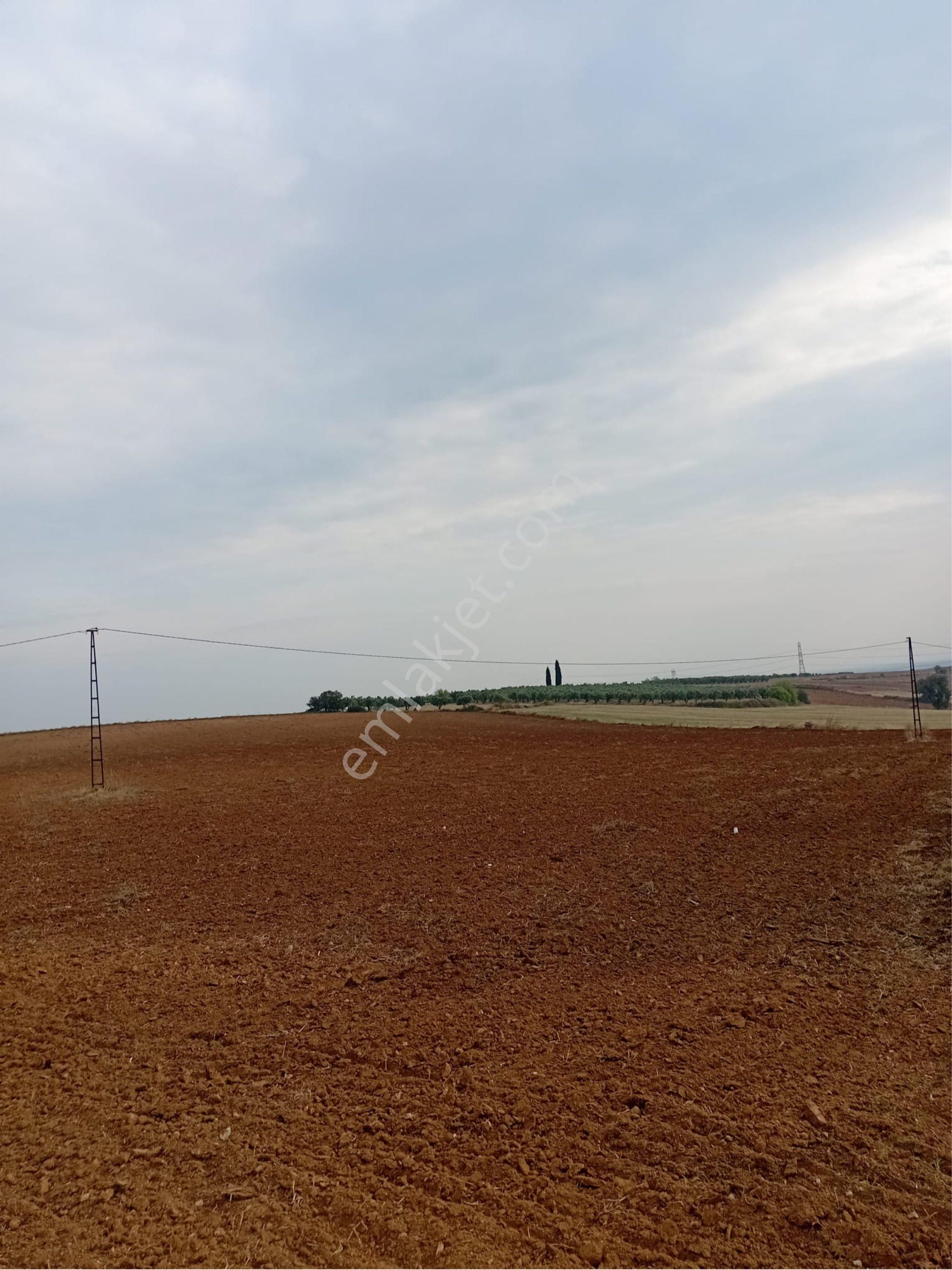 Satılık Tavuk Çiftliği - Görsel 4