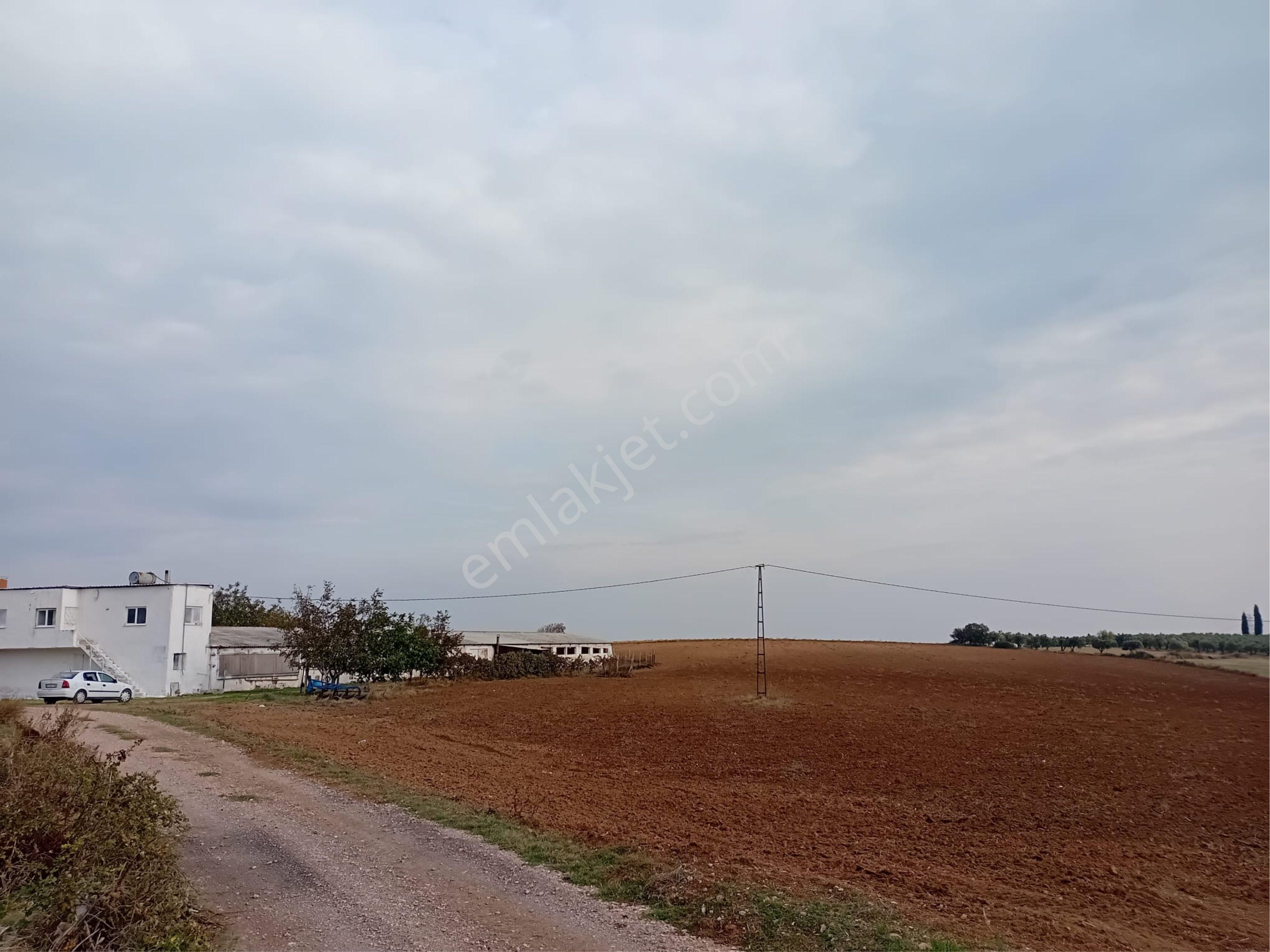 Satılık Tavuk Çiftliği - Görsel 8