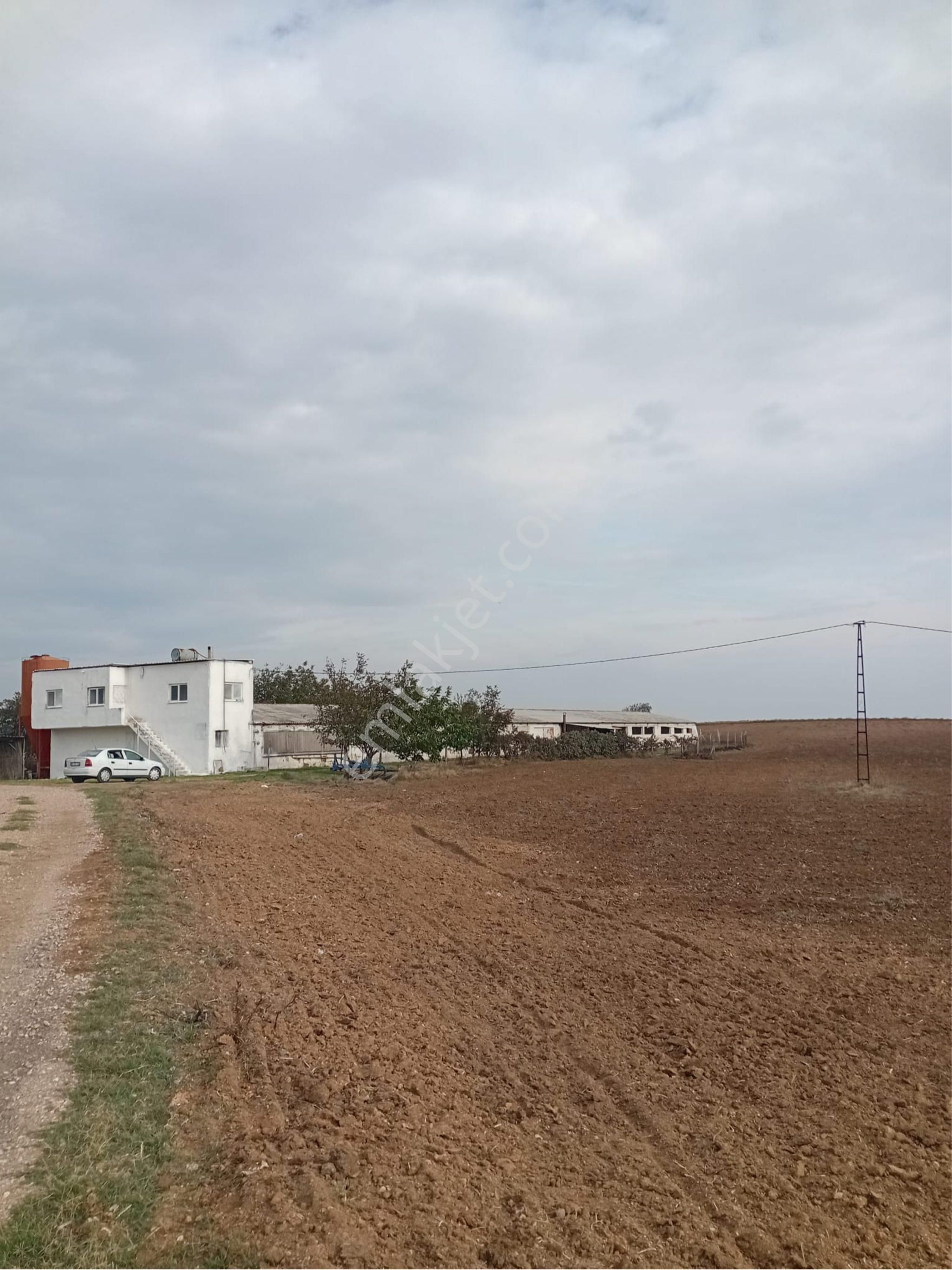 Satılık Tavuk Çiftliği - Görsel 6