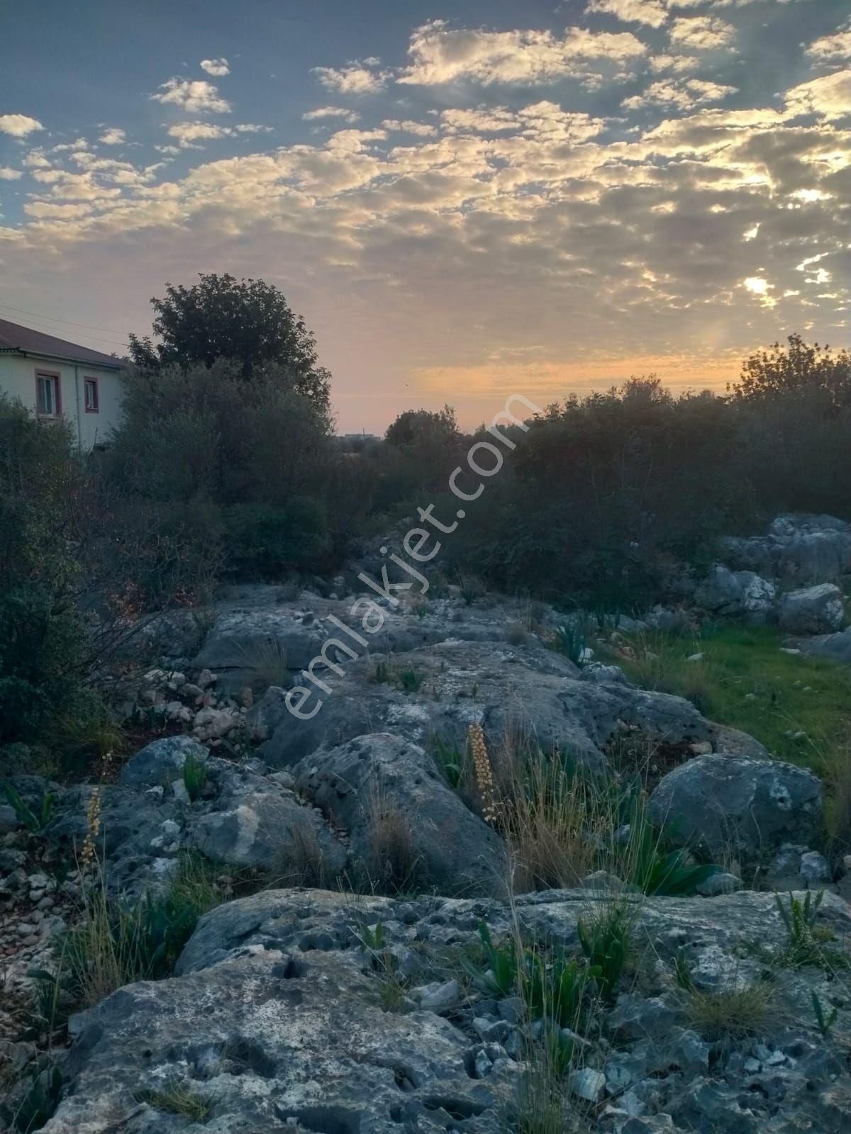 Mersin Erdemli Tırtar'da Satılık Turizm Alanlı Arsa - Görsel 2