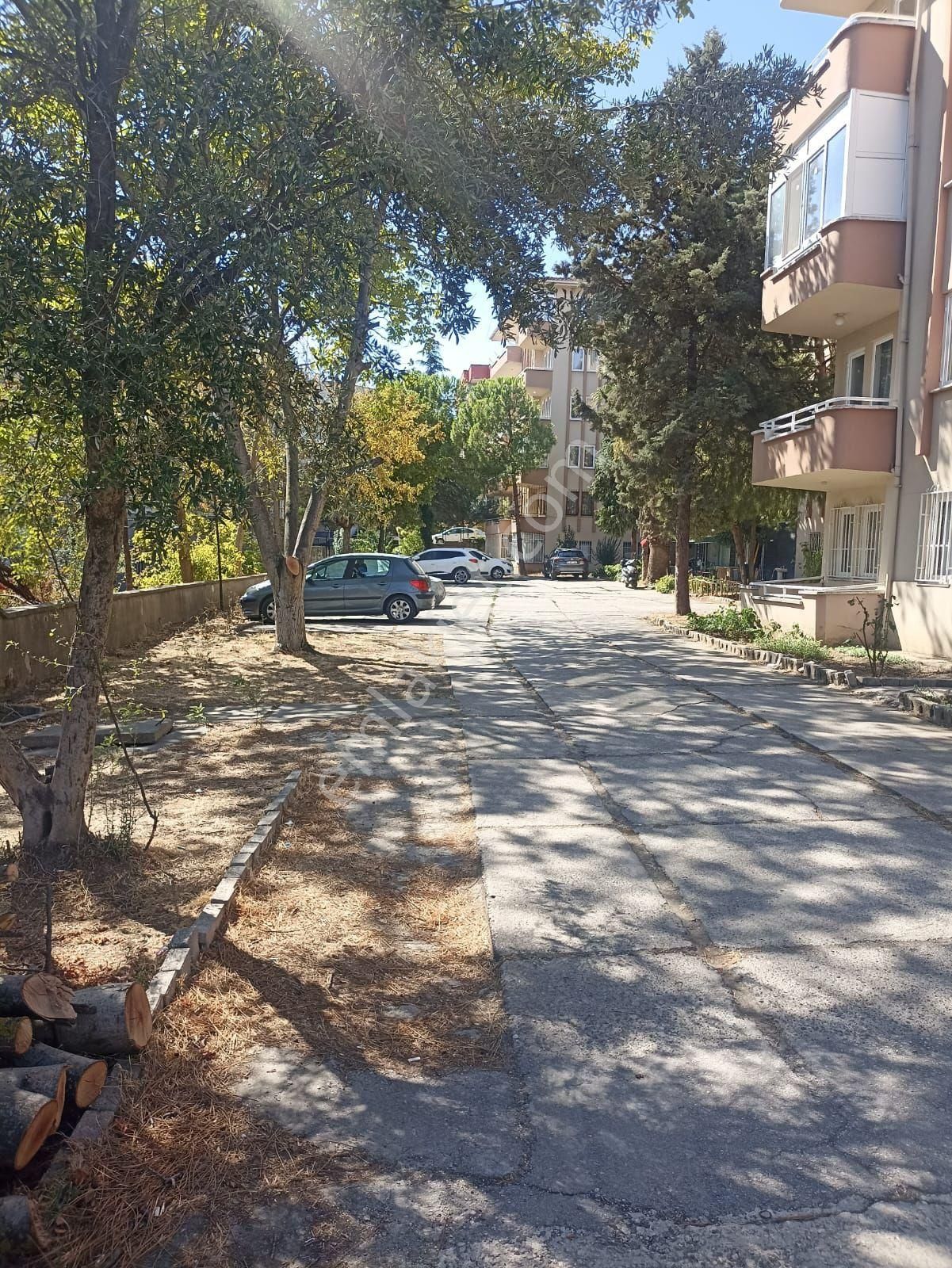 3+1 Üniversiteye Yakın. - Görsel 2