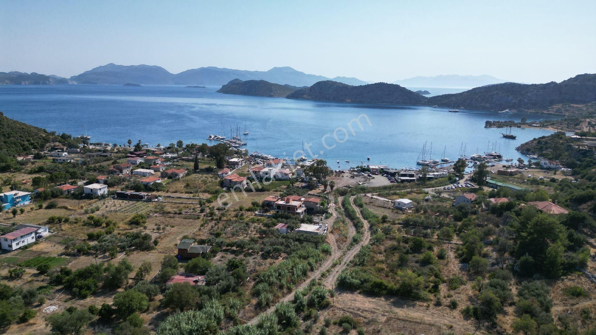 Joker: Marmaris Söğüt Denize 100 Metre Yakınlıkta Kabası Bitmiş Ev Ve Tarlası - Görsel 9