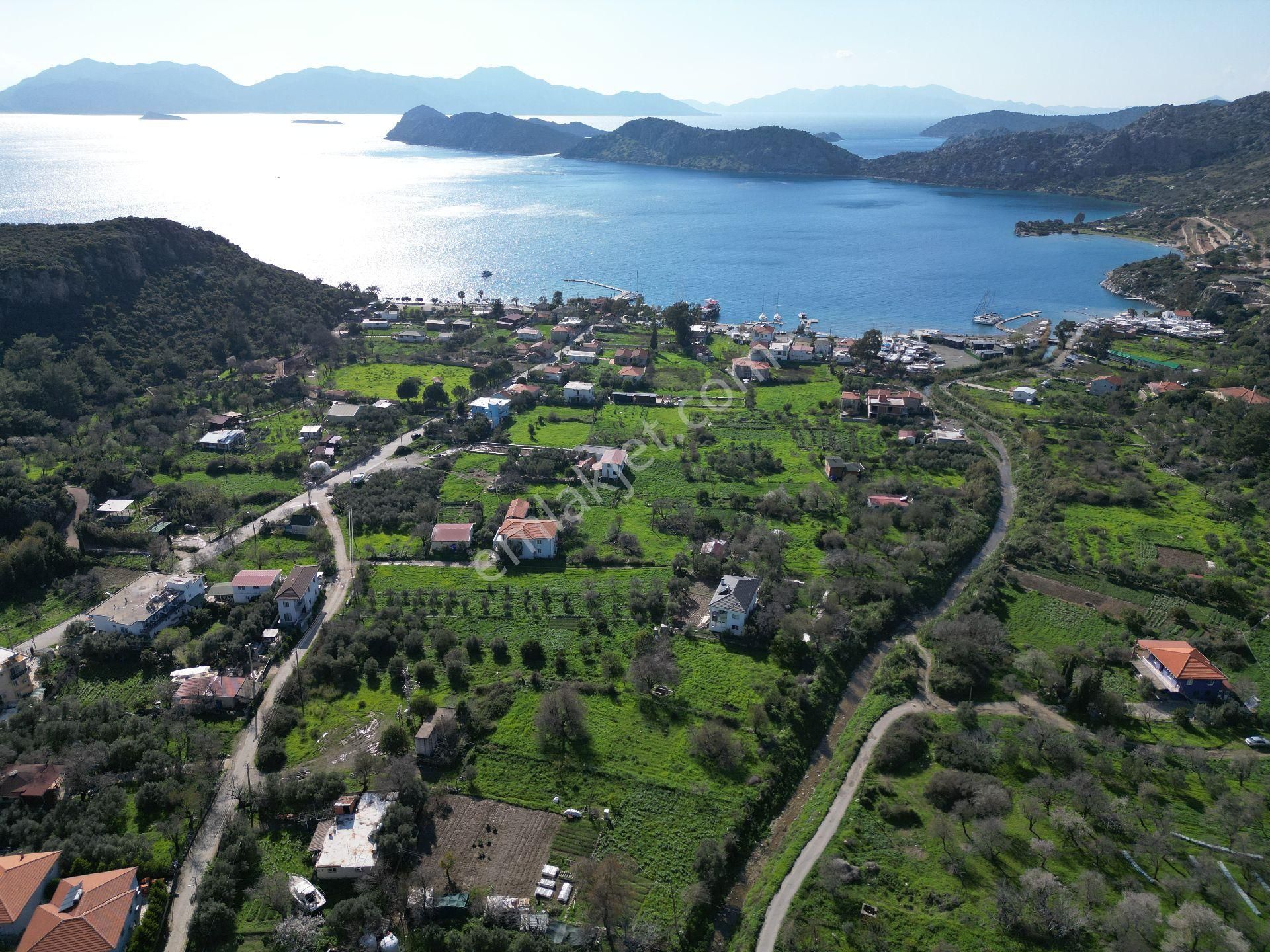 Joker: Marmaris Söğüt Denize 100 Metre Yakınlıkta Kabası Bitmiş Ev Ve Tarlası - Görsel 8