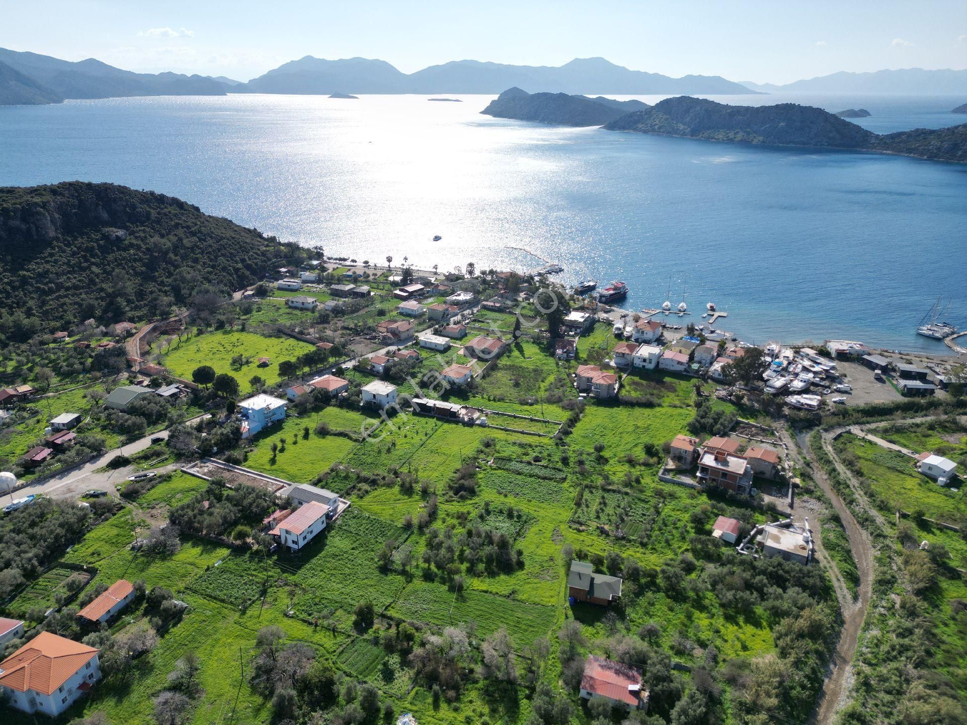 Joker: Marmaris Söğüt Denize 100 Metre Yakınlıkta Kabası Bitmiş Ev Ve Tarlası - Görsel 7