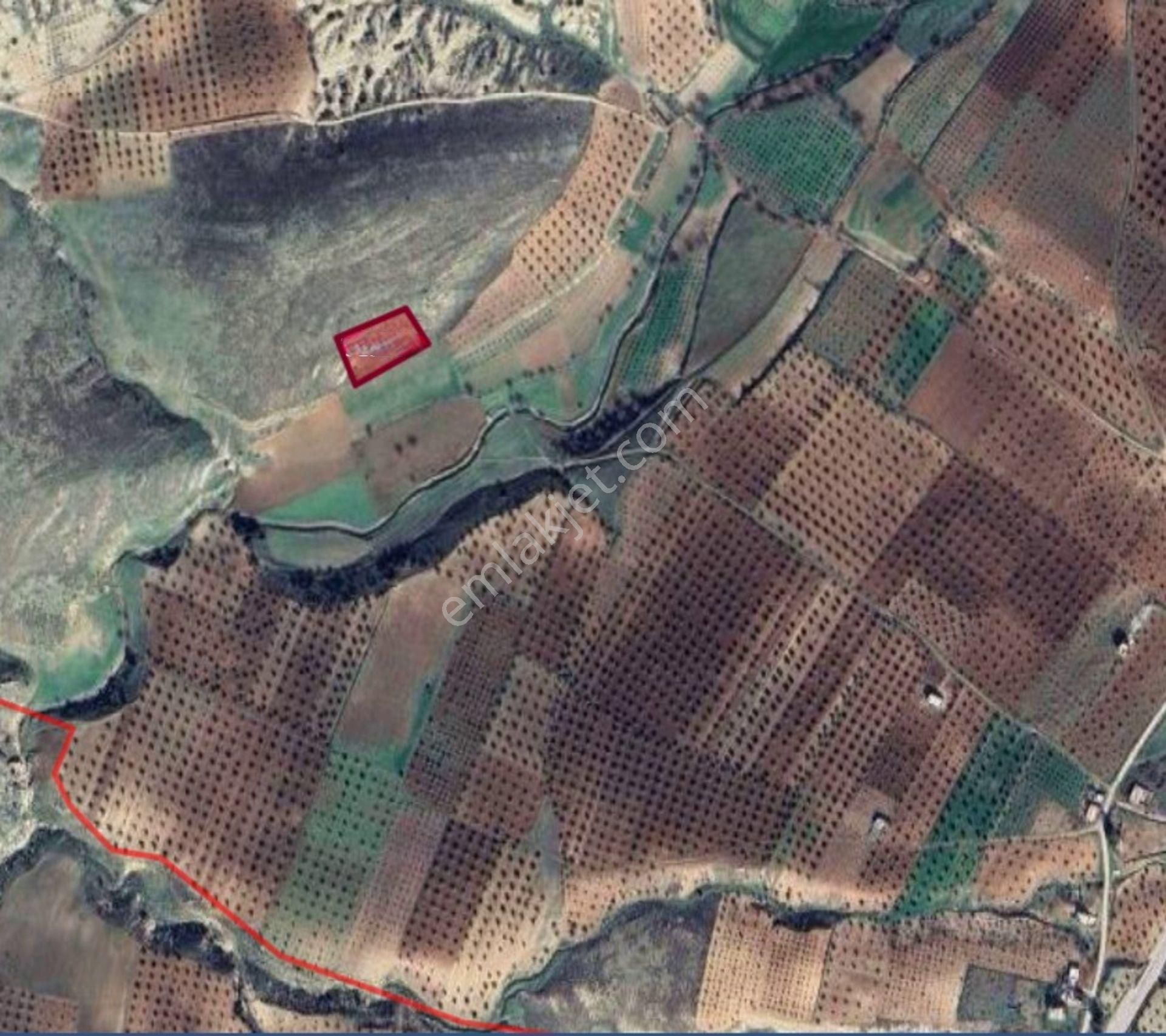 Çakallıpınar Da 3620 M2 Satılık Tek Tapu Tarla - Görsel 2