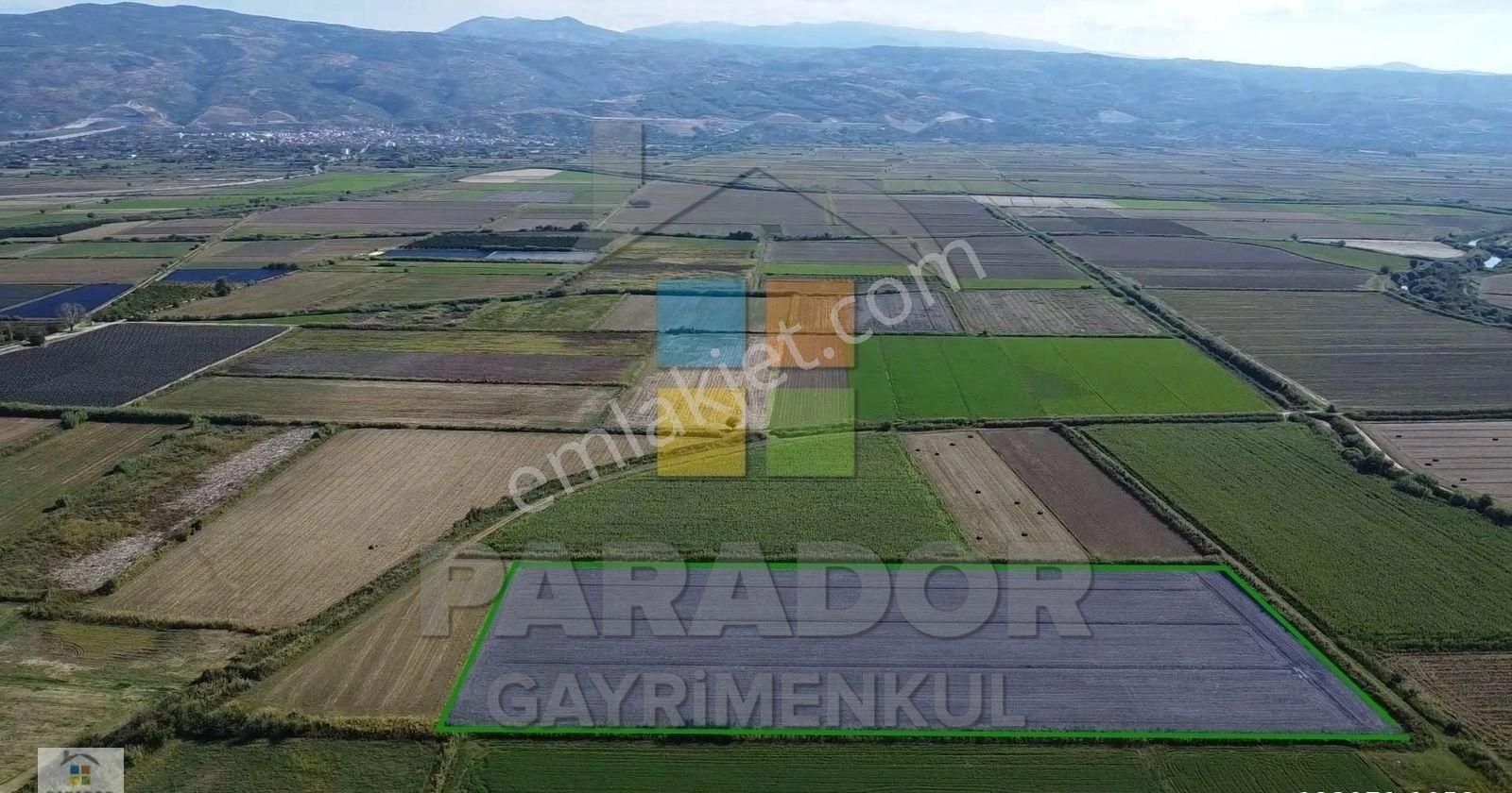 Aydın Sultanhisar Atça Mahallesinde Satılık 31114 M² Tarla - Görsel 3