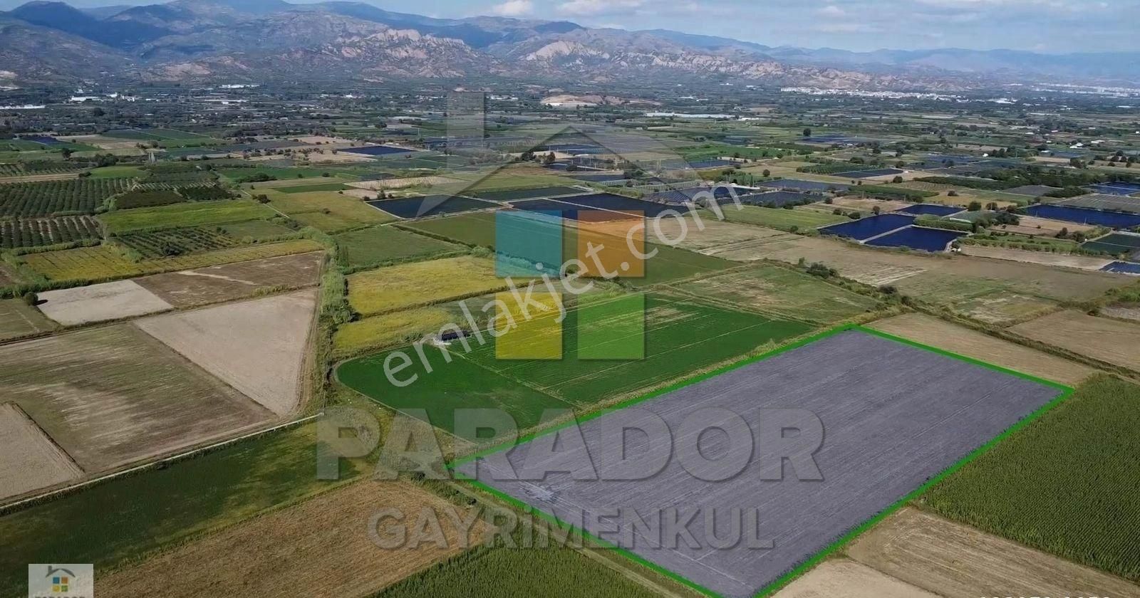 Aydın Sultanhisar Atça Mahallesinde Satılık 31114 M² Tarla - Görsel 15