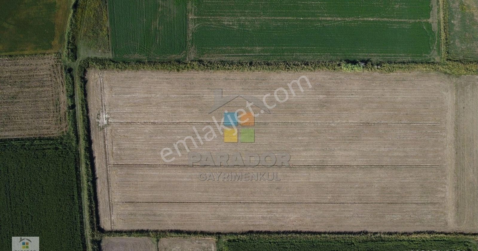 Aydın Sultanhisar Atça Mahallesinde Satılık 31114 M² Tarla - Görsel 11