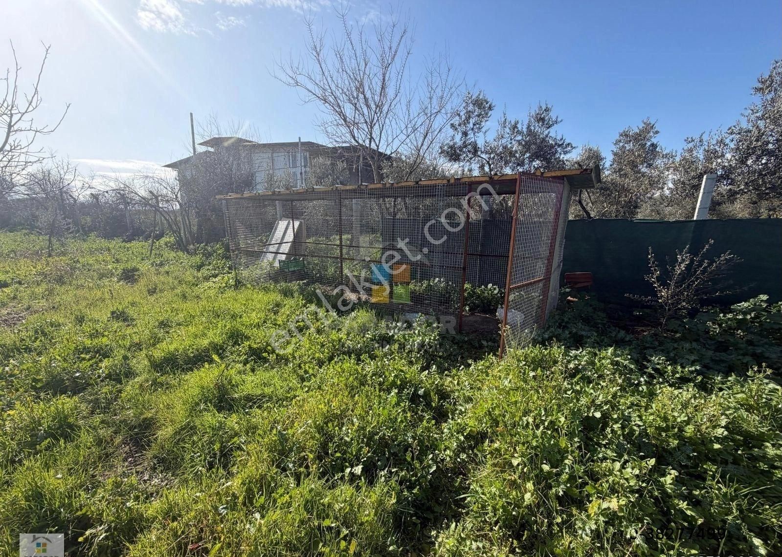 Aydın Sultanhisar Atça Mahallesinde Satılık 3551 M² Bahçe Evi - Görsel 21