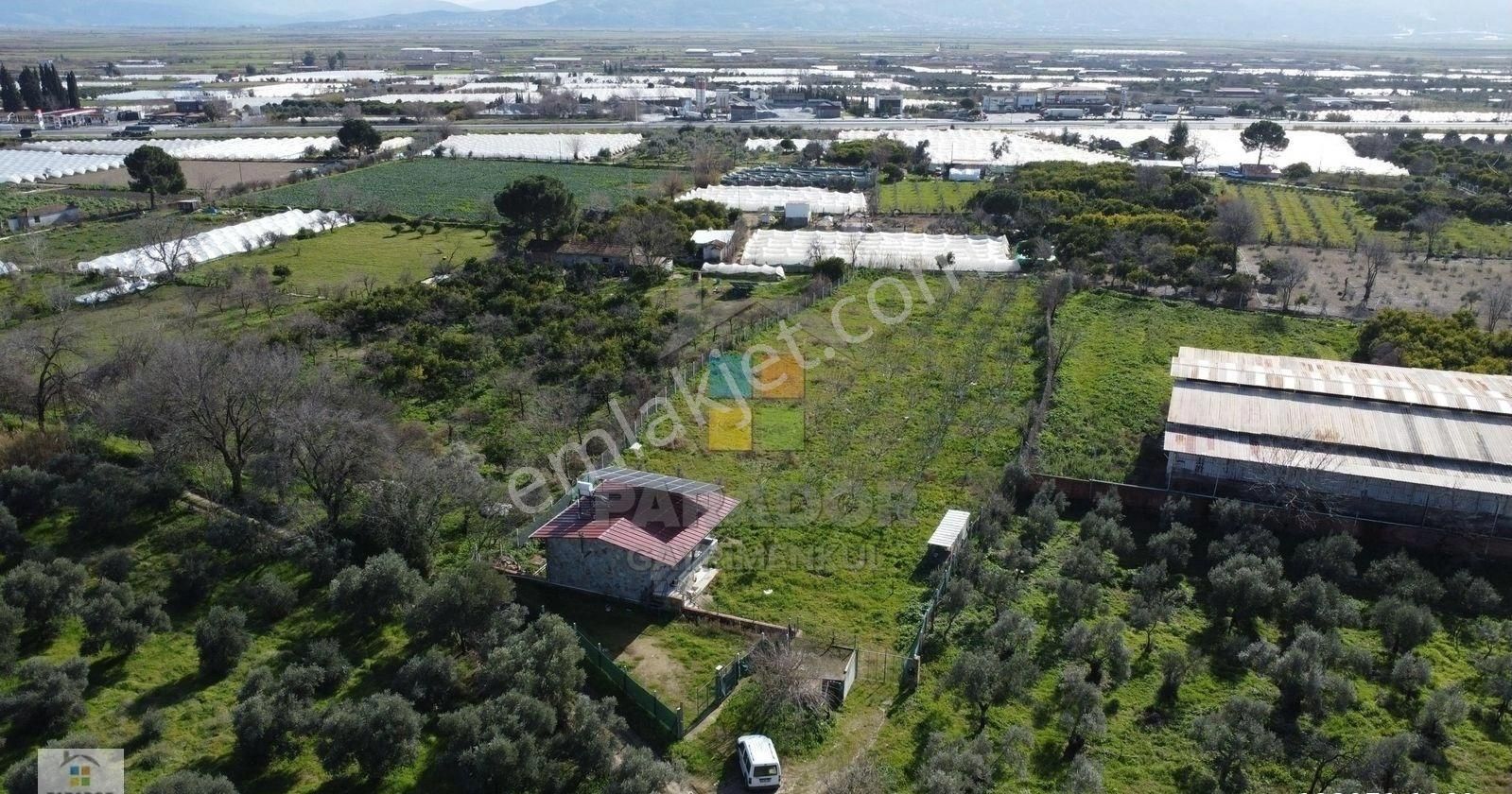 Aydın Sultanhisar Atça Mahallesinde Satılık 3551 M² Bahçe Evi - Görsel 25