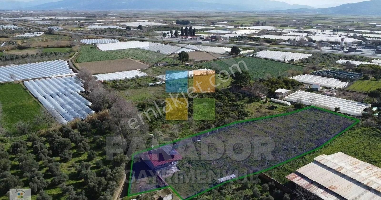 Aydın Sultanhisar Atça Mahallesinde Satılık 3551 M² Bahçe Evi - Görsel 20