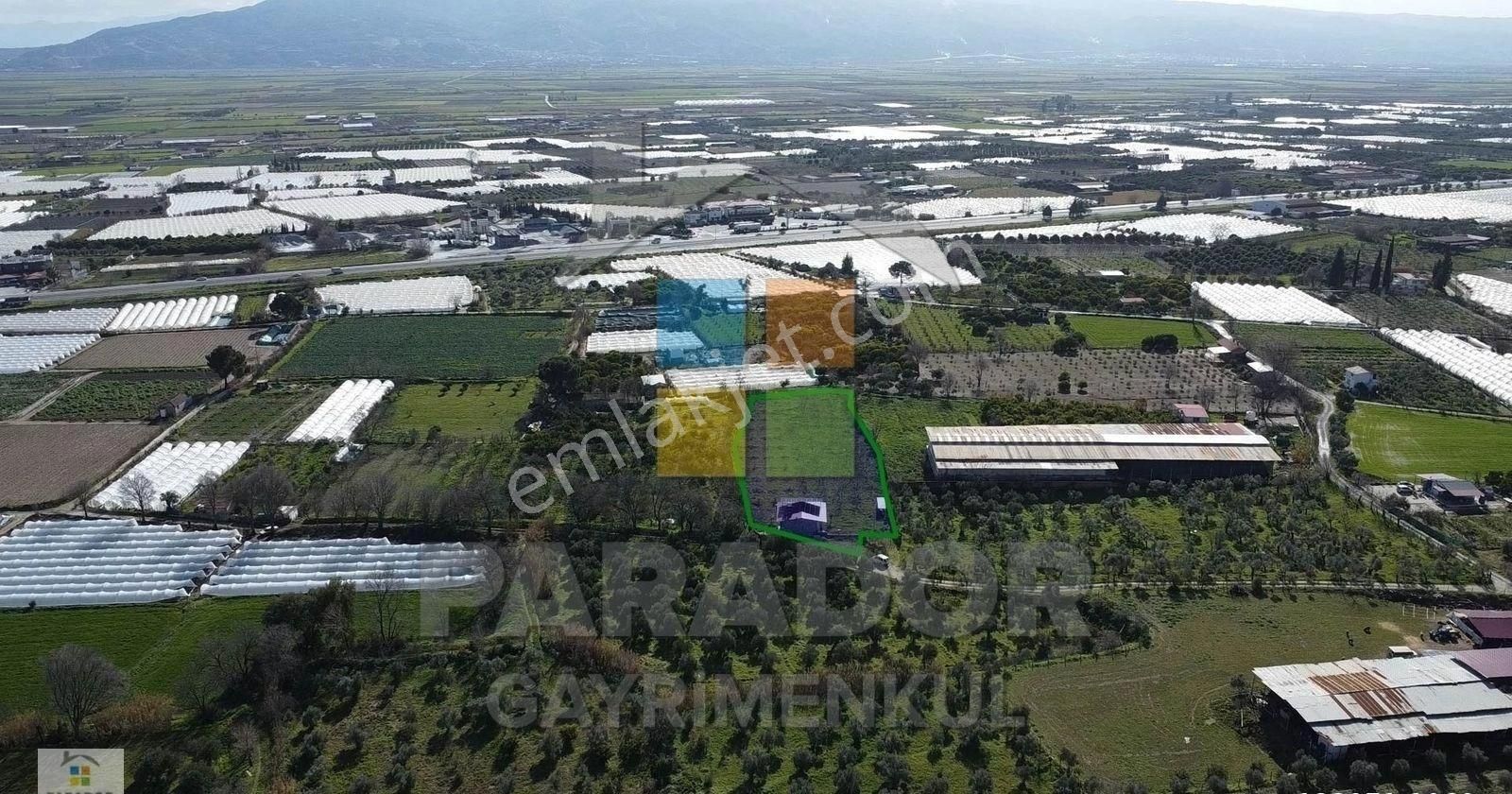 Aydın Sultanhisar Atça Mahallesinde Satılık 3551 M² Bahçe Evi - Görsel 2