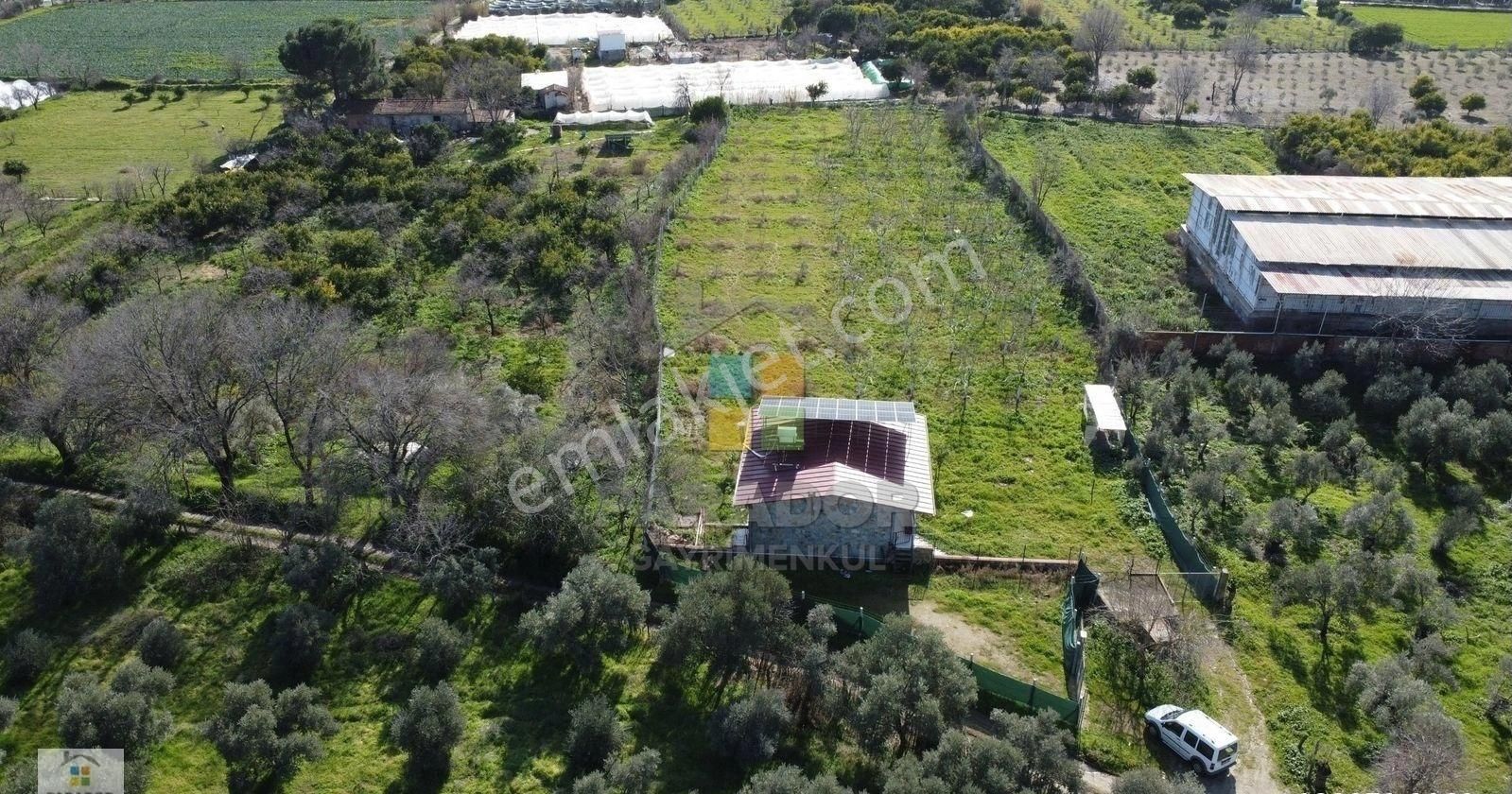 Aydın Sultanhisar Atça Mahallesinde Satılık 3551 M² Bahçe Evi - Görsel 7