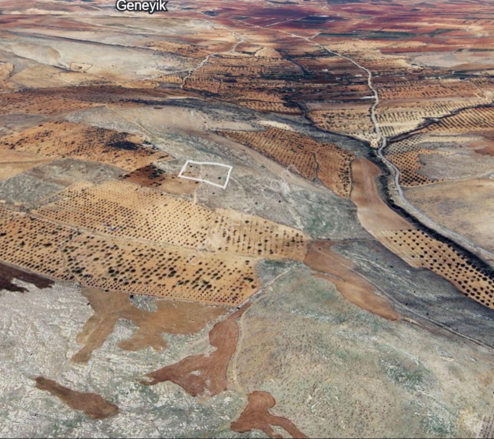 Deredüzü De 5685 M2 Satılık Tek Tapu Bağ Yeri - Görsel 5