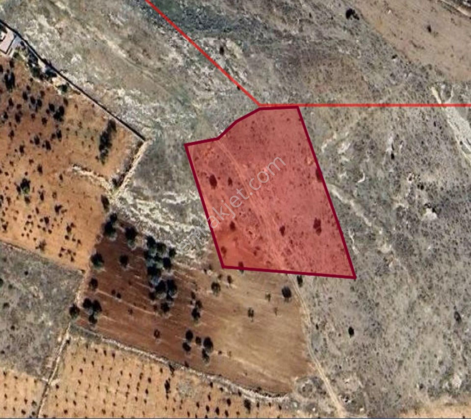 Deredüzü De 5685 M2 Satılık Tek Tapu Bağ Yeri - Görsel 2