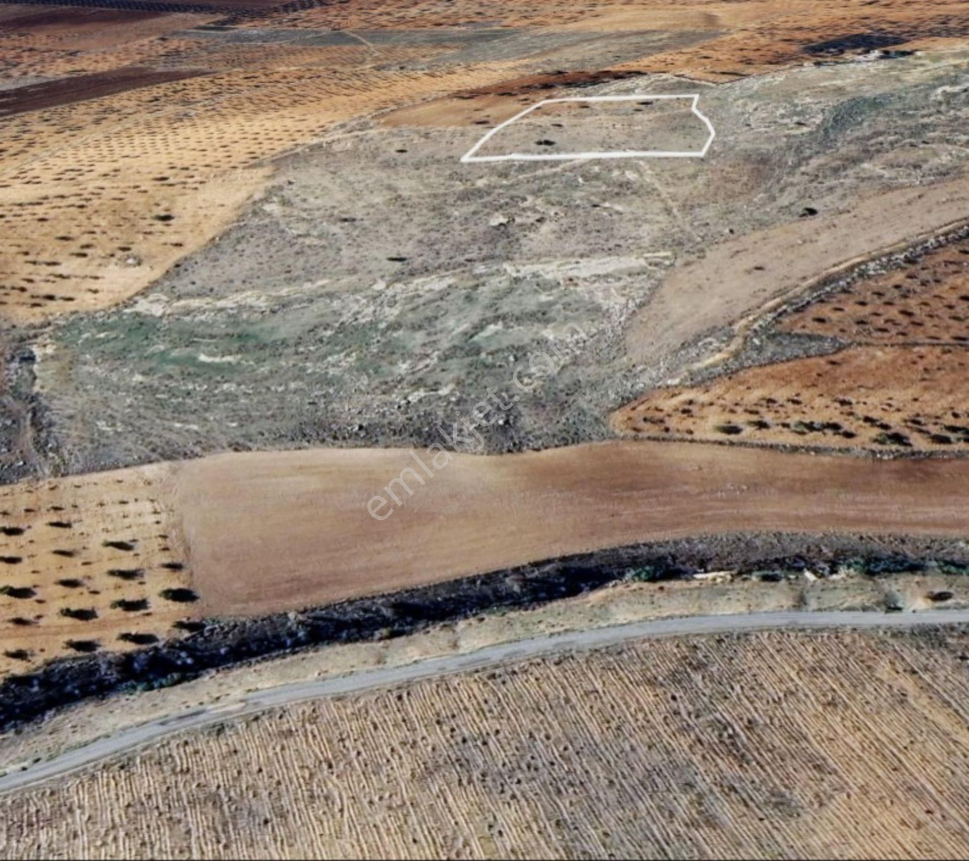 Deredüzü De 5685 M2 Satılık Tek Tapu Bağ Yeri - Görsel 12