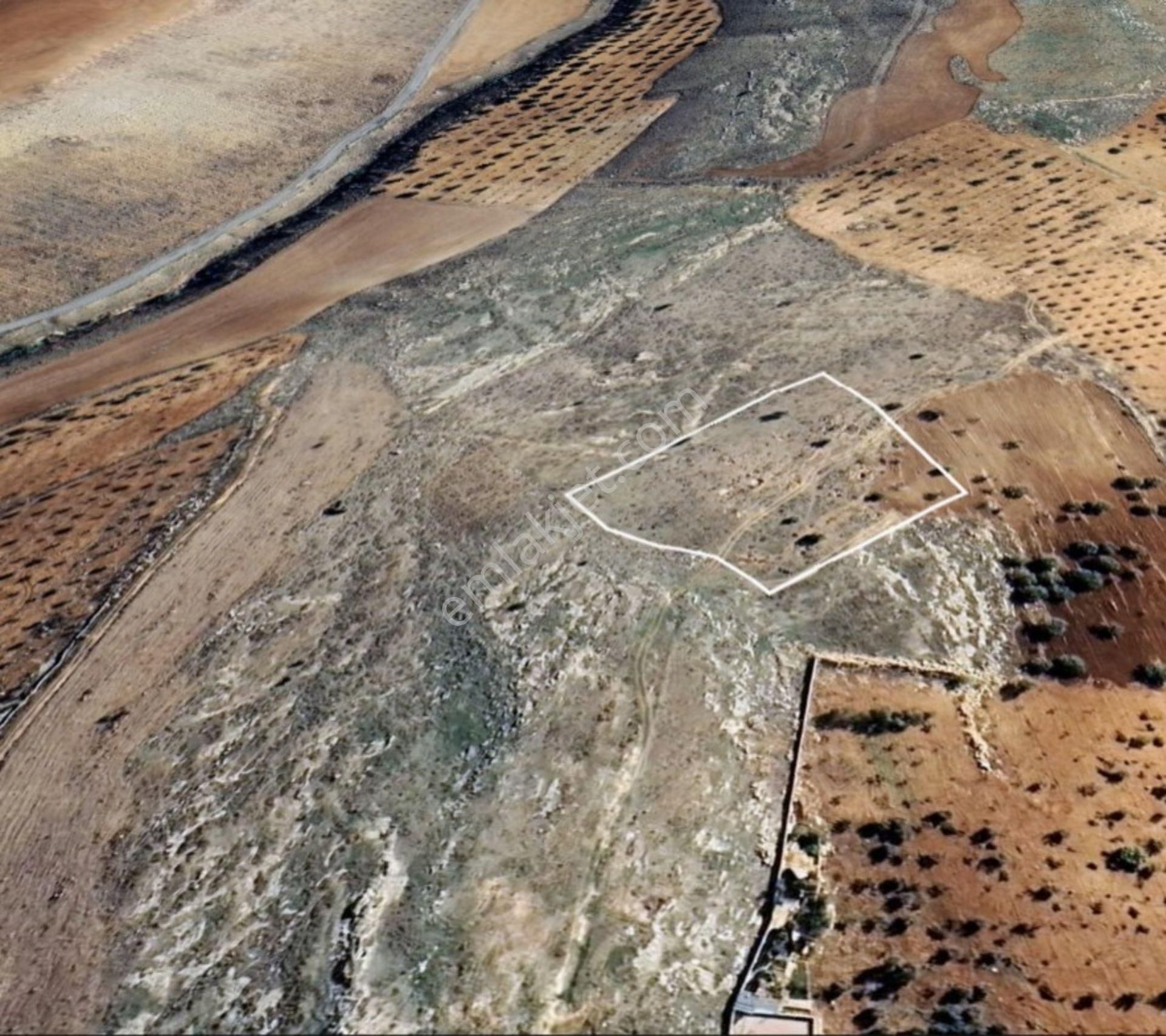 Deredüzü De 5685 M2 Satılık Tek Tapu Bağ Yeri - Görsel 3