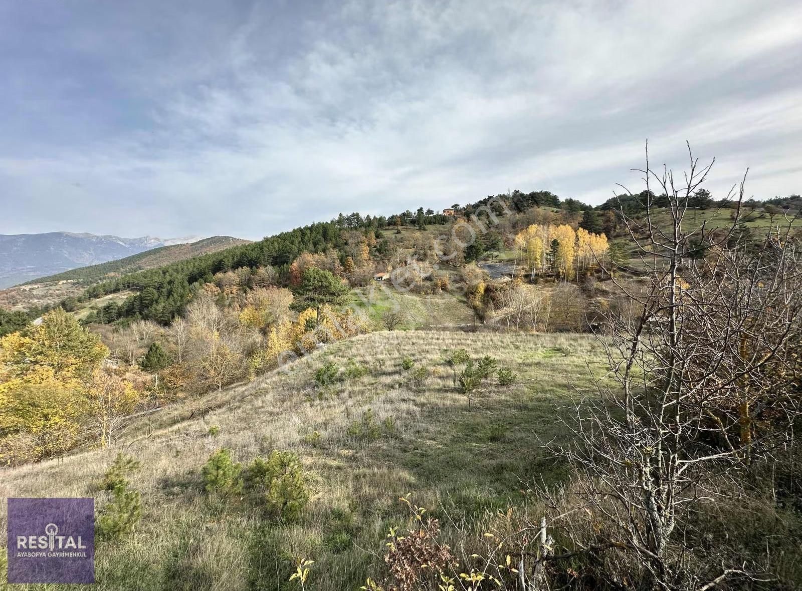 Orhaneli Göynükbelende Satılık Ana Asfalta Cephe Manzaralı Bahçe - Görsel 3