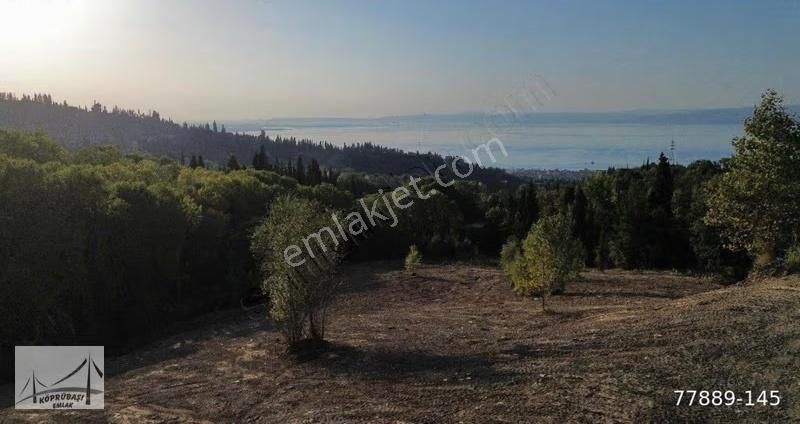 Köprübaşı Emlak'tan Çamçukurda %5 İmarlı Deniz Manzaralı Arazi - Görsel 2