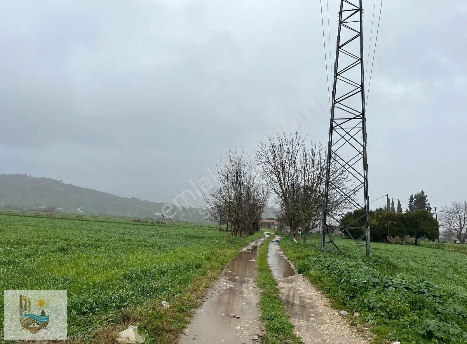 Bodrumun Dibinde Kupon Tarla! İzmir Yoluna 800 Metre - Görsel 3