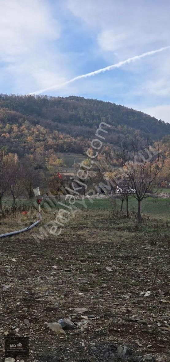 Bursa Gemlik Fındıcak'ta Satılık 3.052m² Tarla - Görsel 2