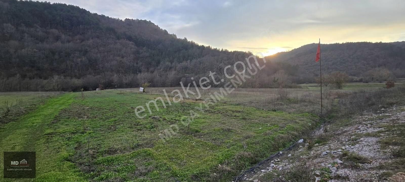 Bursa Gemlik Fındıcak'ta Satılık 3.052m² Tarla