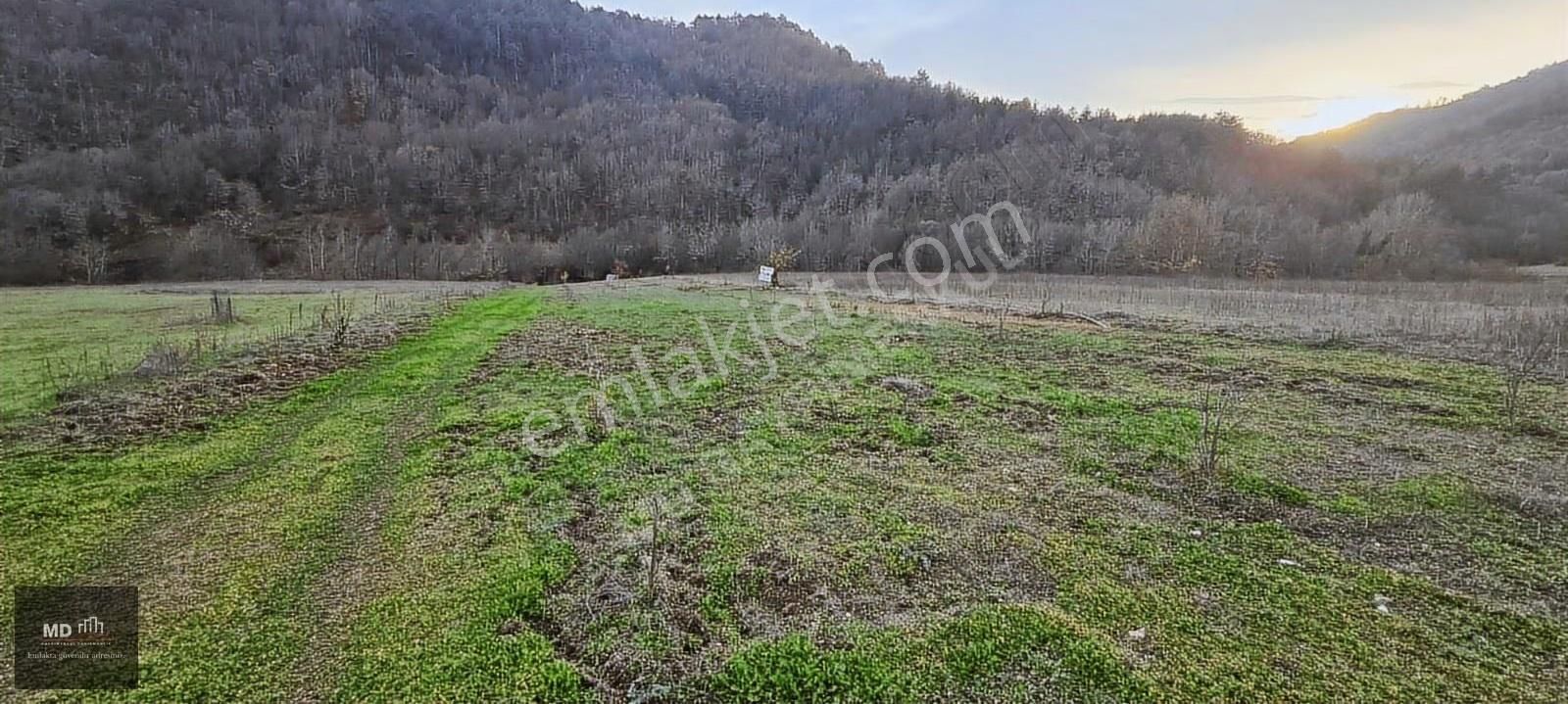 Bursa Gemlik Fındıcak'ta Satılık 3.052m² Tarla - Görsel 11