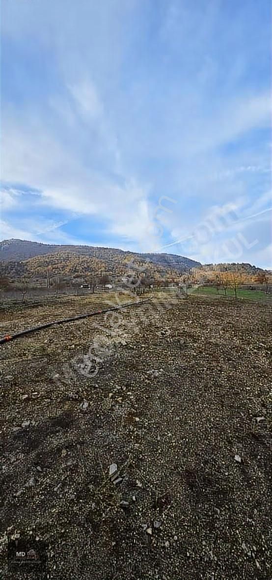 Bursa Gemlik Fındıcak'ta Satılık 3.052m² Tarla - Görsel 6