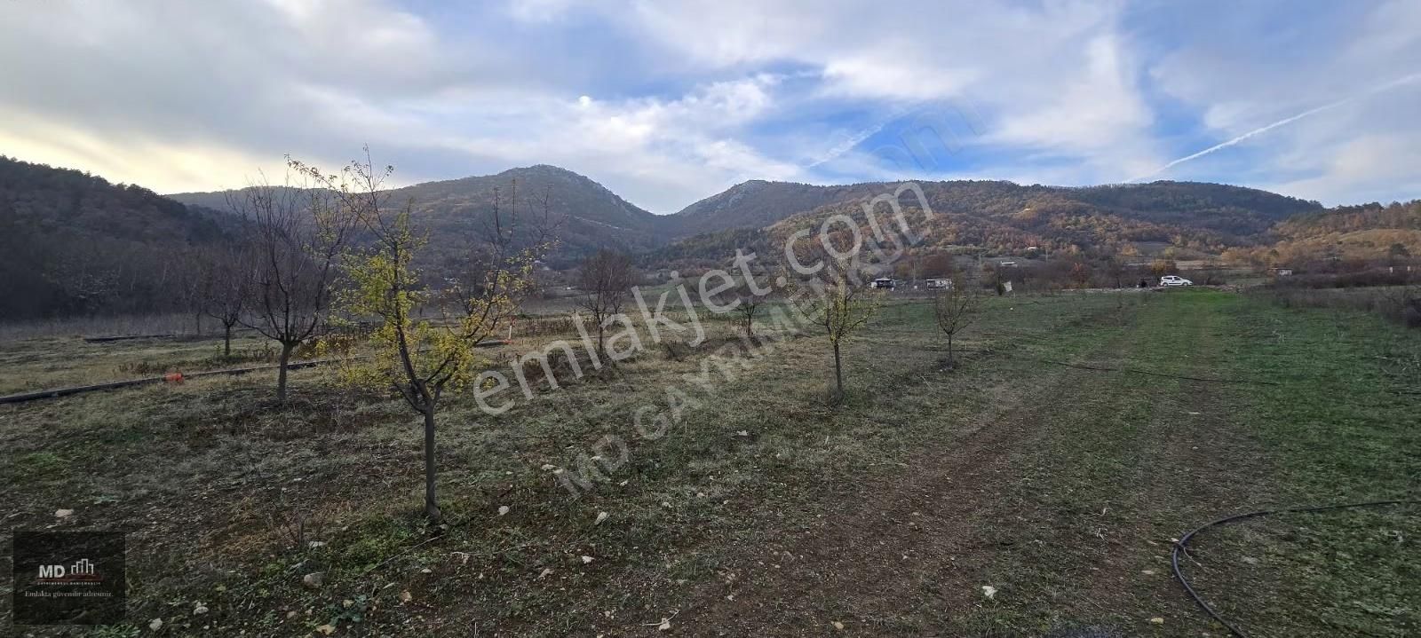 Bursa Gemlik Fındıcak'ta Satılık 3.052m² Tarla - Görsel 3