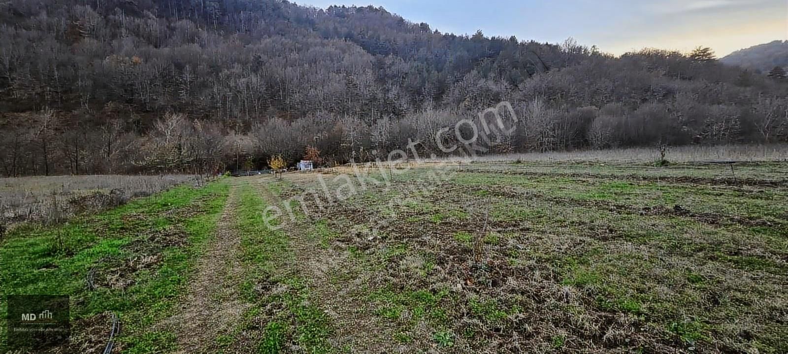Bursa Gemlik Fındıcak'ta Satılık 3.052m² Tarla - Görsel 16