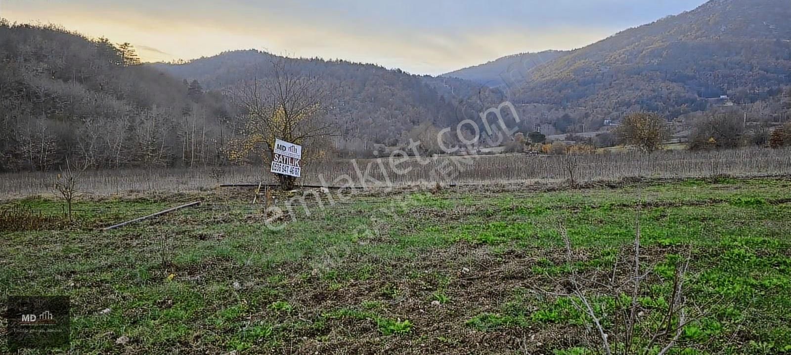 Bursa Gemlik Fındıcak'ta Satılık 3.052m² Tarla - Görsel 8