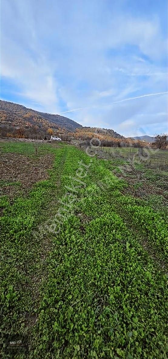 Bursa Gemlik Fındıcak'ta Satılık 3.052m² Tarla - Görsel 4