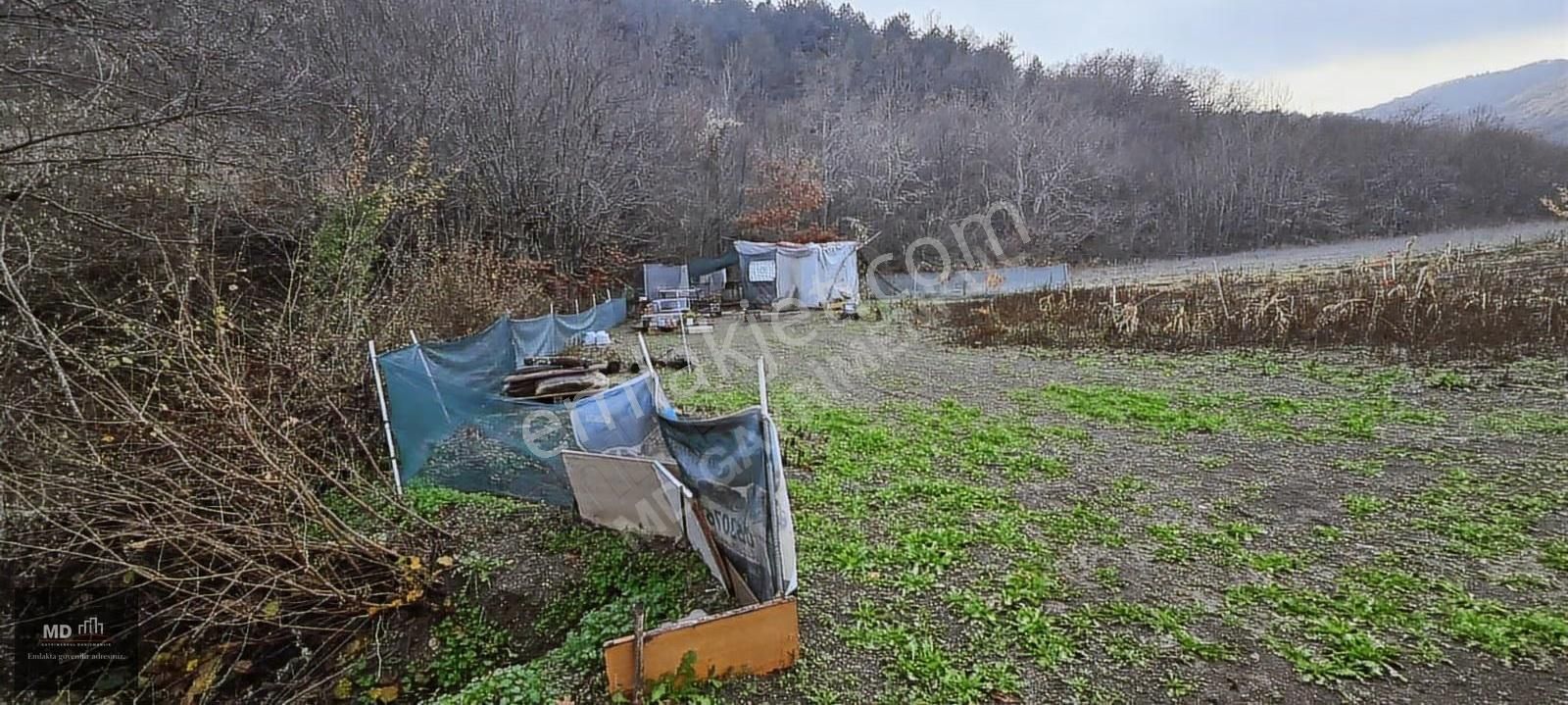 Bursa Gemlik Fındıcak'ta Satılık 3.052m² Tarla - Görsel 10