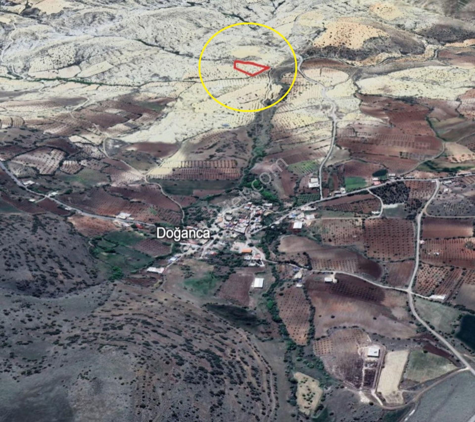 Doğanca Da 8900 M2 Tek Tapu Bağ Yeri - Görsel 5