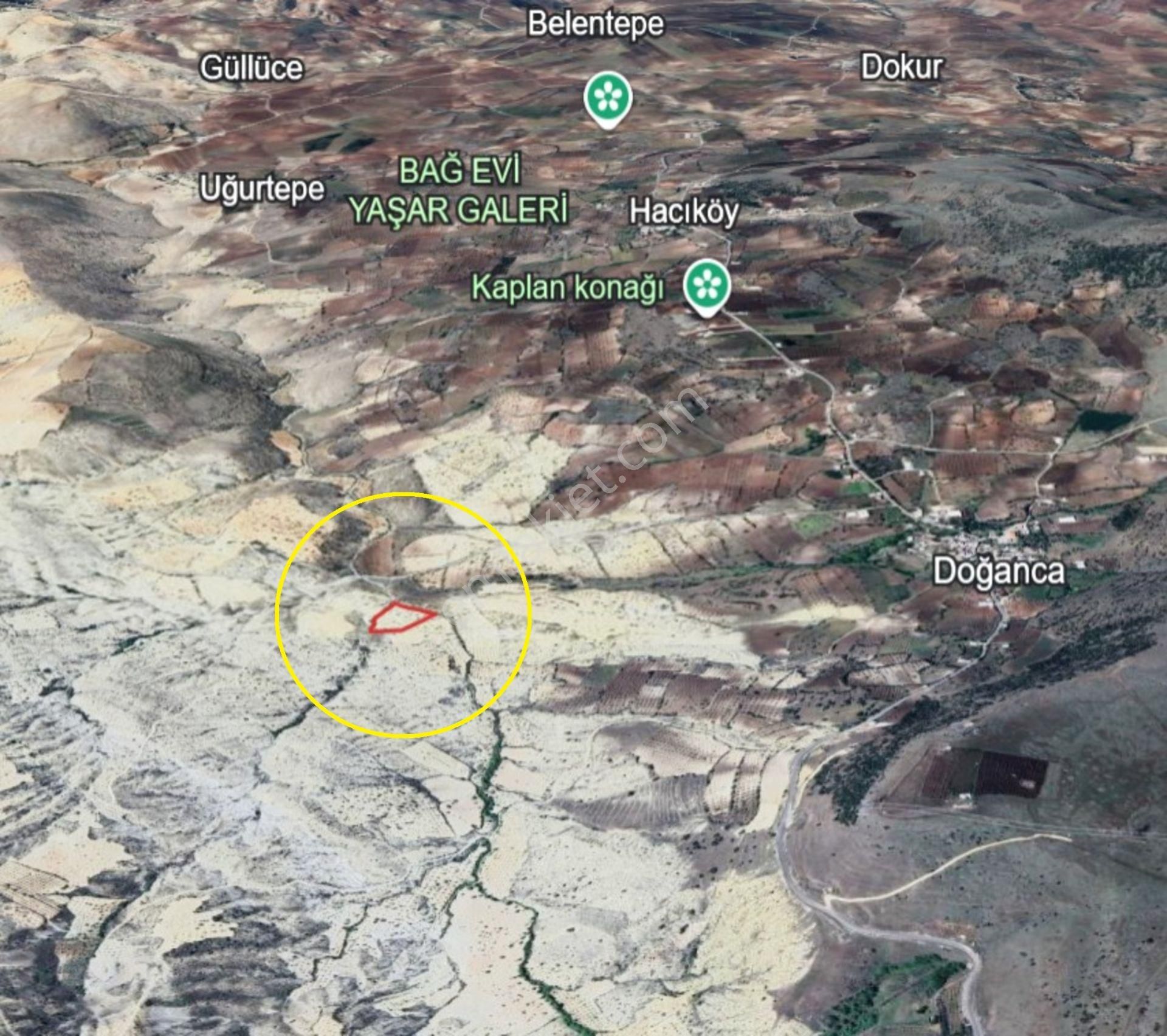 Doğanca Da 8900 M2 Tek Tapu Bağ Yeri - Görsel 7