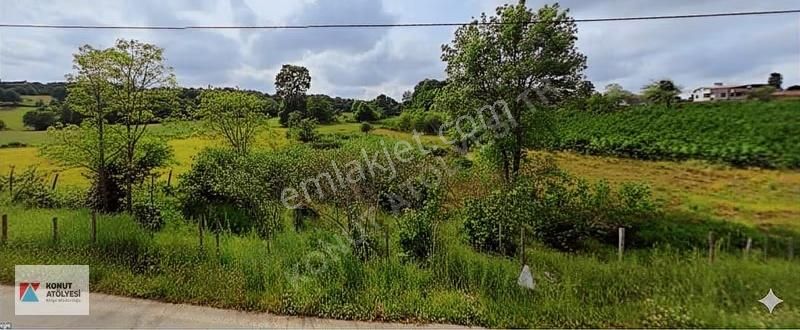 Sakarya Kaynarca Birlik - Yola Cephe 2000m2 Altyapısı Hazır ! - Görsel 13