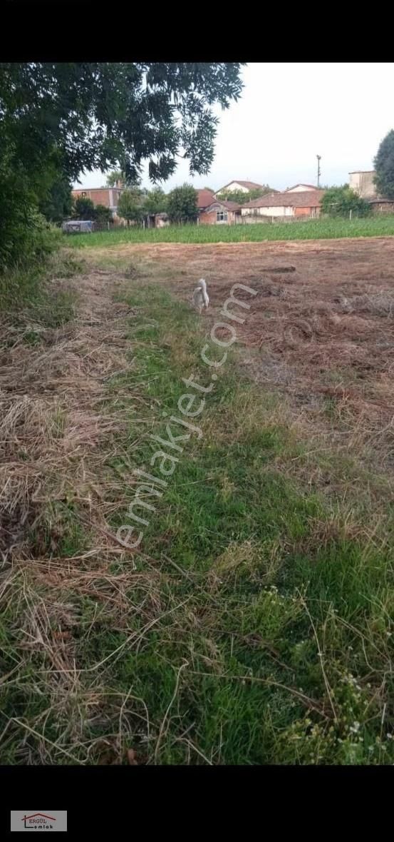 Sakarya Abalı Mah.3500 M2 Satılık Tarla - Görsel 2