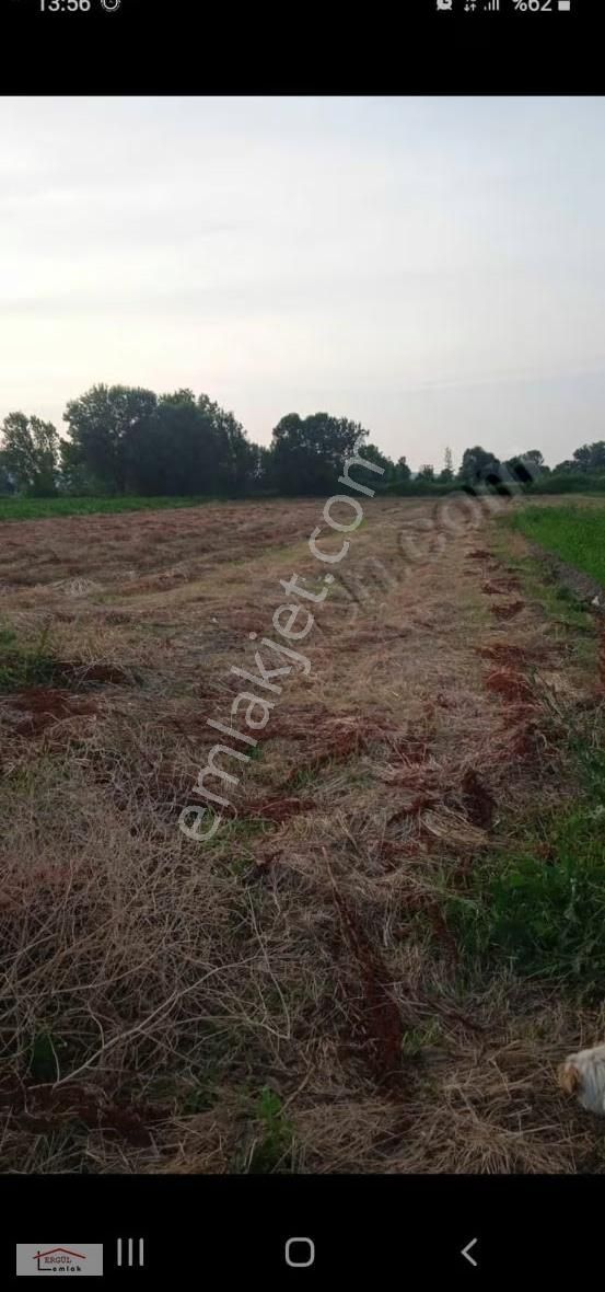 Sakarya Abalı Mah.3500 M2 Satılık Tarla - Görsel 6