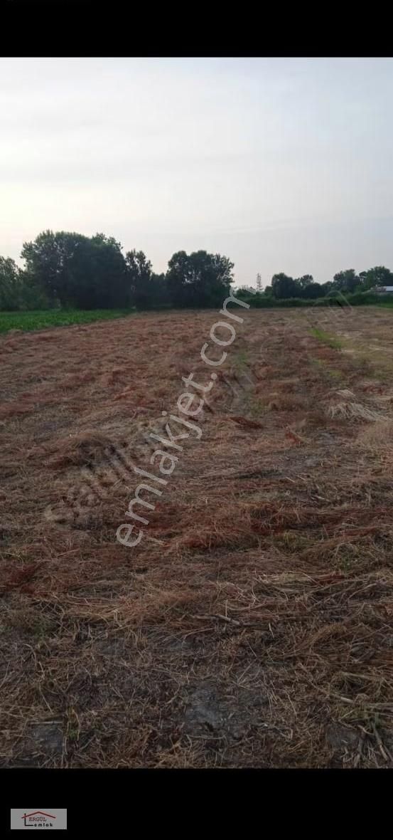 Sakarya Abalı Mah.3500 M2 Satılık Tarla - Görsel 3