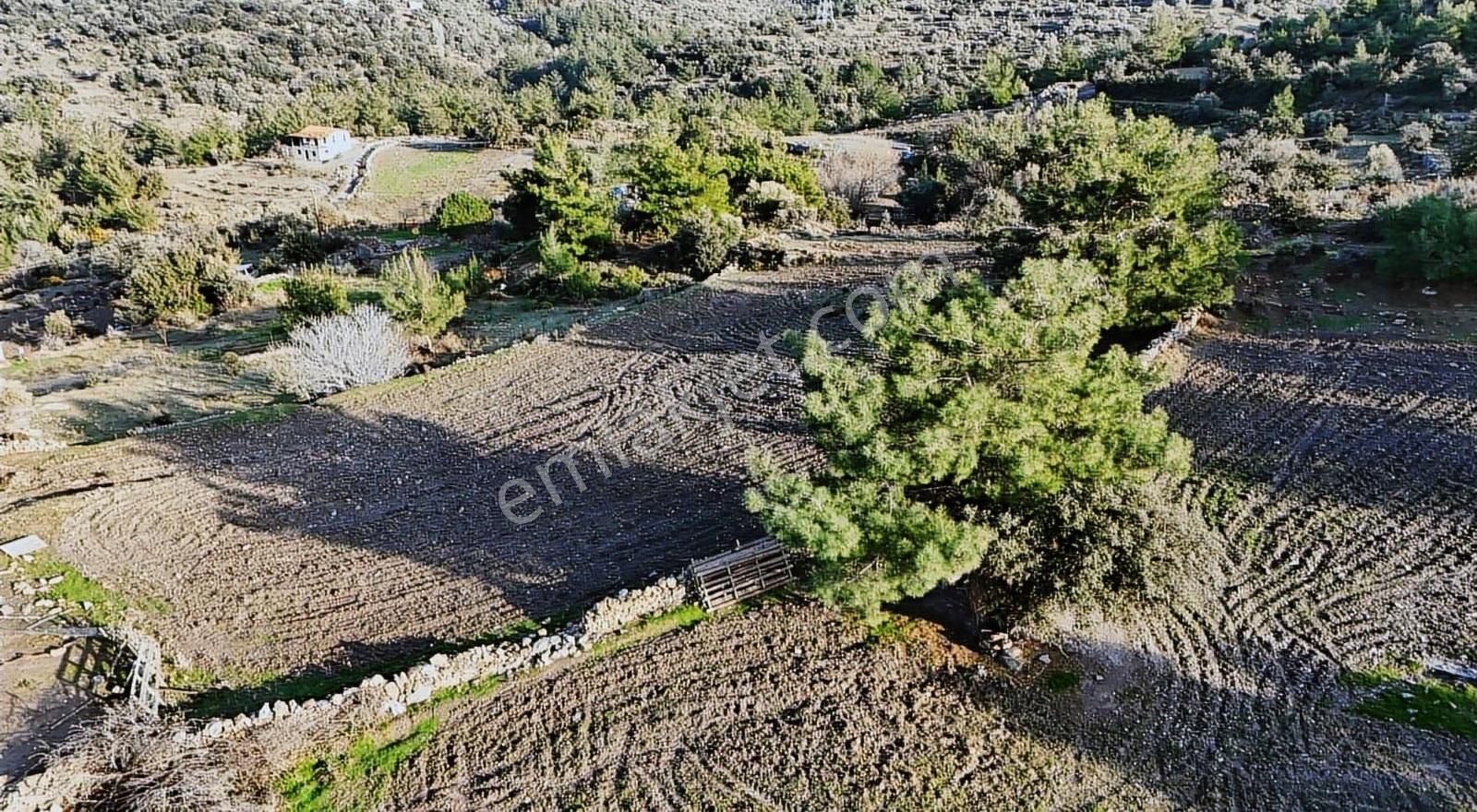 Yıldırım Mühendislik'ten Hasanlar Mah."2.542 M2" Köy İçi Tarla