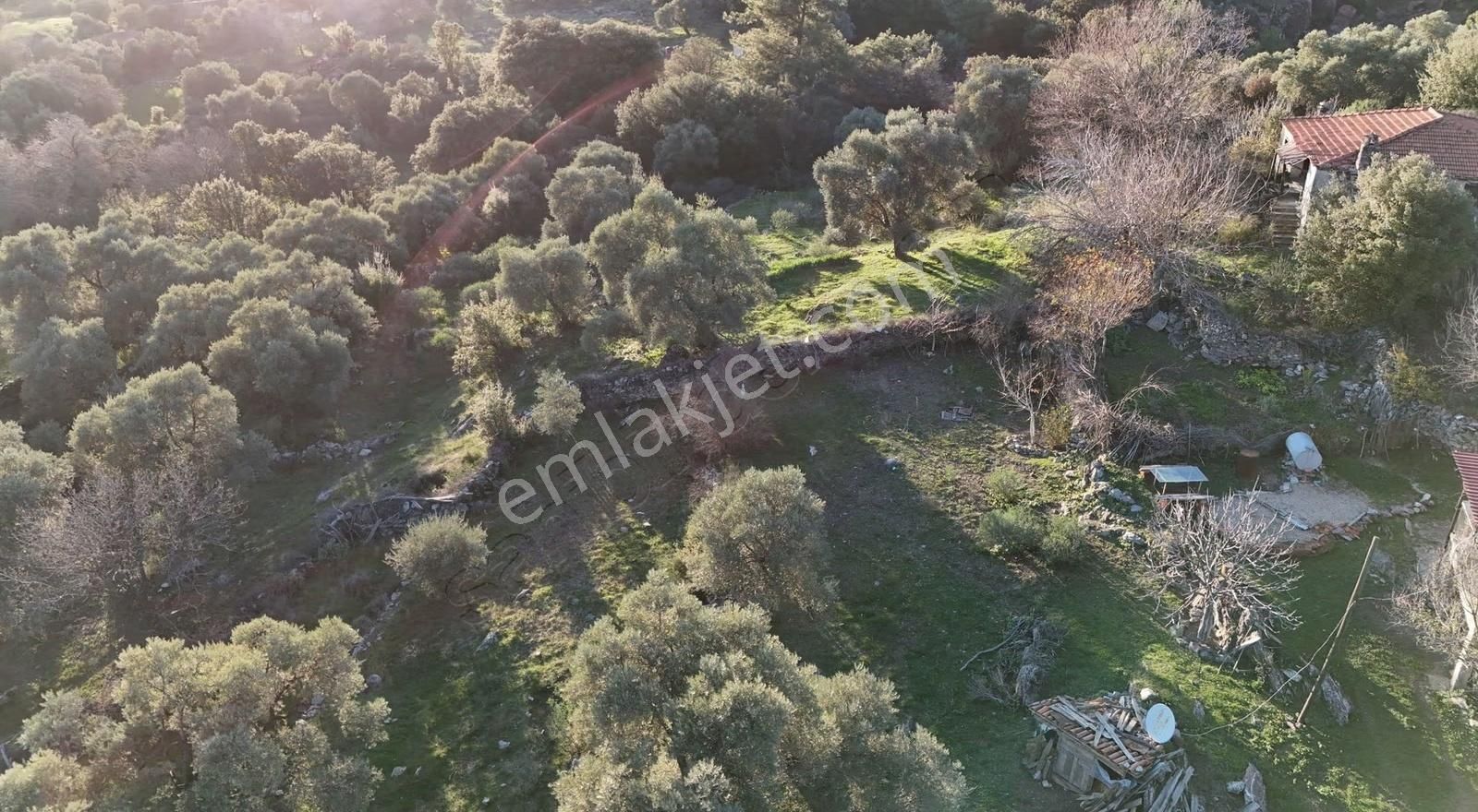 Yıldırım Mühendislik'ten "4.246 M2 "köy İçi İmarlı Fırsat Arsa - Görsel 3