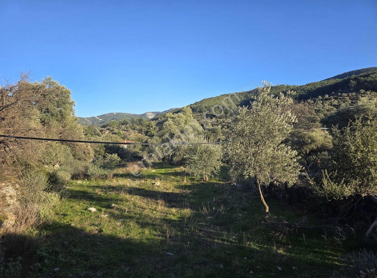 Yıldırım Mühendislik'ten "4.246 M2 "köy İçi İmarlı Fırsat Arsa - Görsel 2