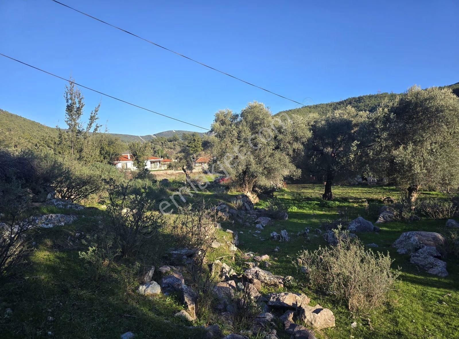 Yıldırım Mühendislik'ten "4.246 M2 "köy İçi İmarlı Fırsat Arsa - Görsel 4