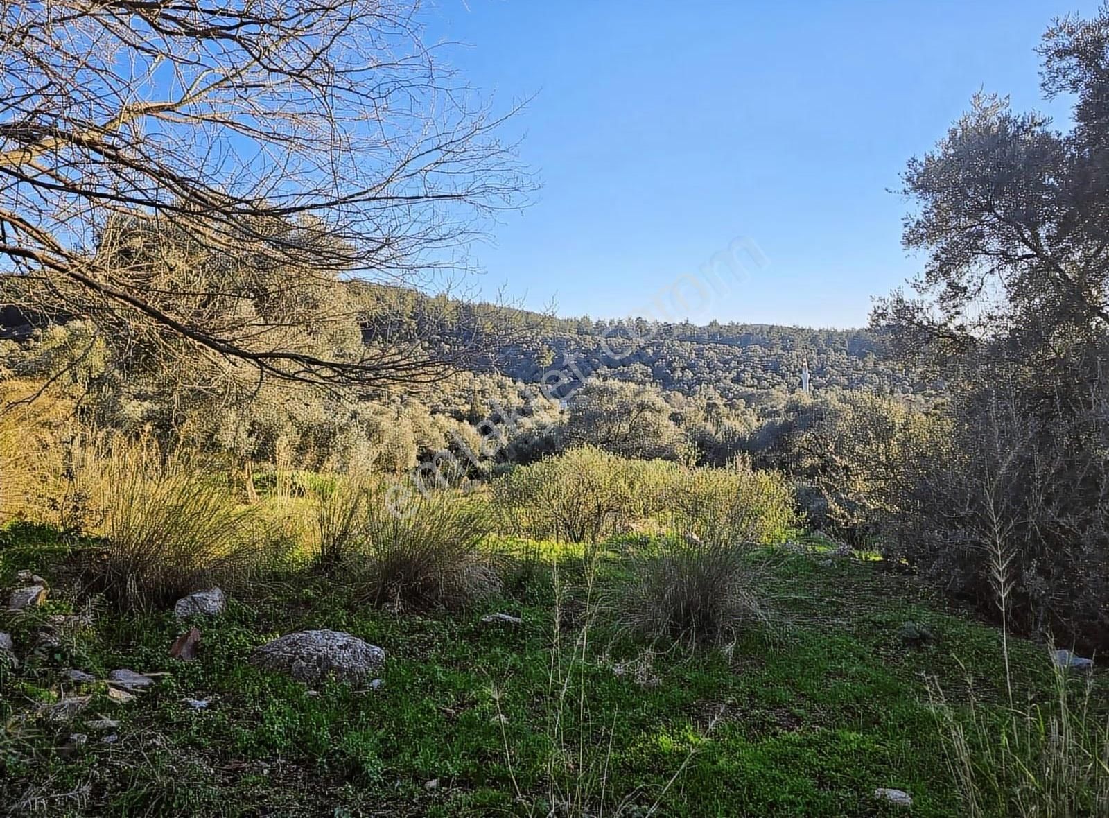 Yıldırım Mühendislik'ten "4.246 M2 "köy İçi İmarlı Fırsat Arsa - Görsel 7