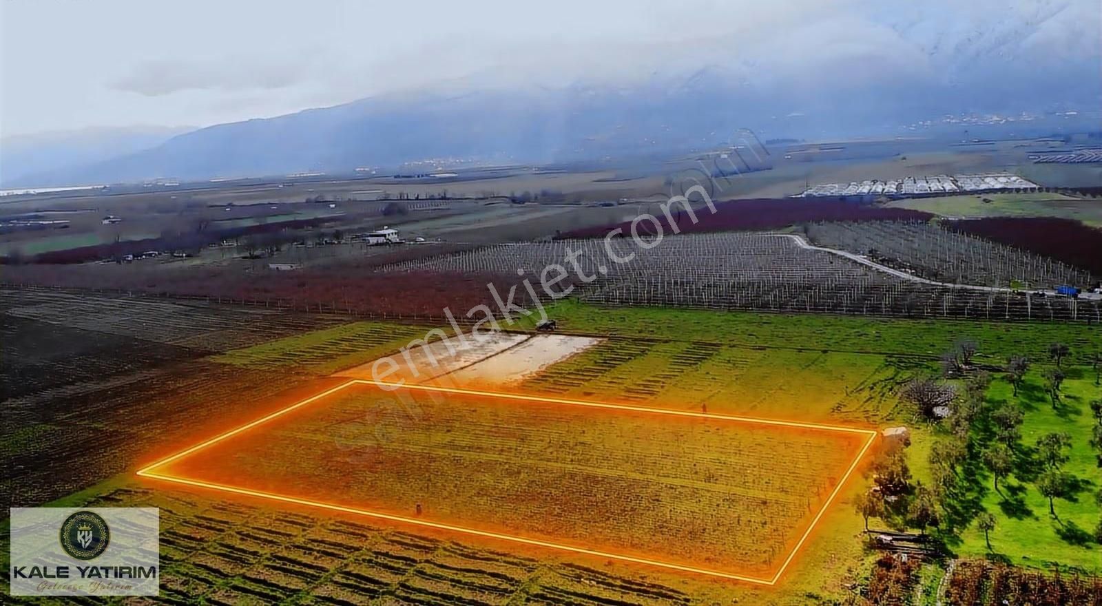 Kale Yatırımdan Çeltikçide Satılık 4.275m² Kurulu Kayısı Bahçesi - Görsel 6