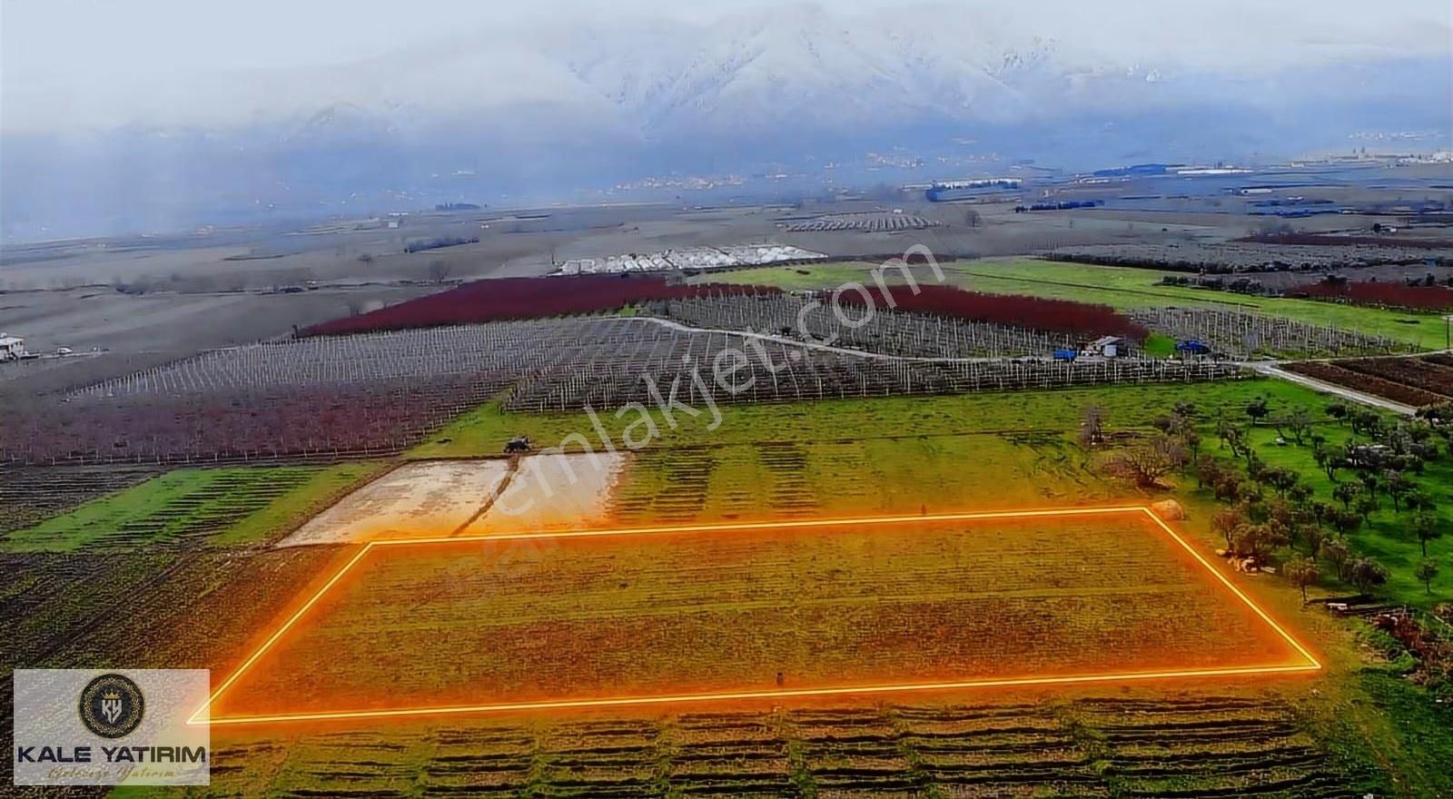 Kale Yatırımdan Çeltikçide Satılık 4.275m² Kurulu Kayısı Bahçesi - Görsel 8