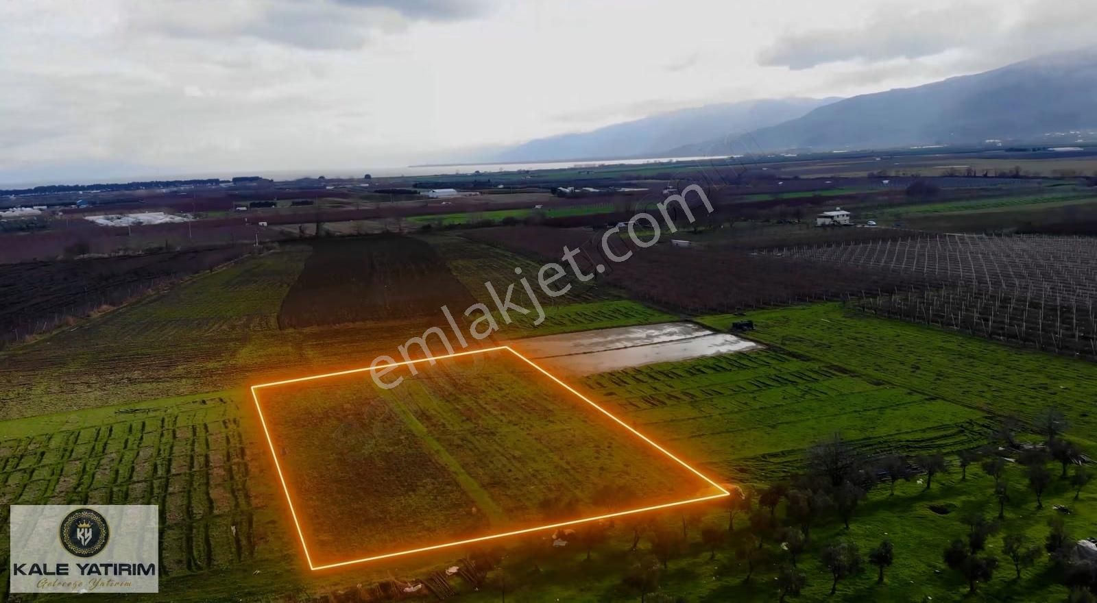 Kale Yatırımdan Çeltikçide Satılık 4.275m² Kurulu Kayısı Bahçesi - Görsel 2