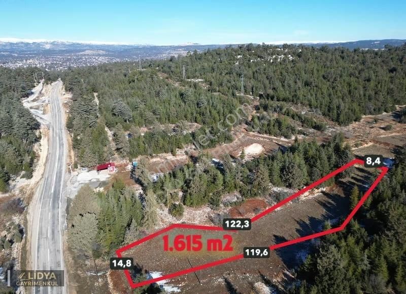 Avgadı Cedrus Life Yanı 1.615 M2 Satılık Arsa