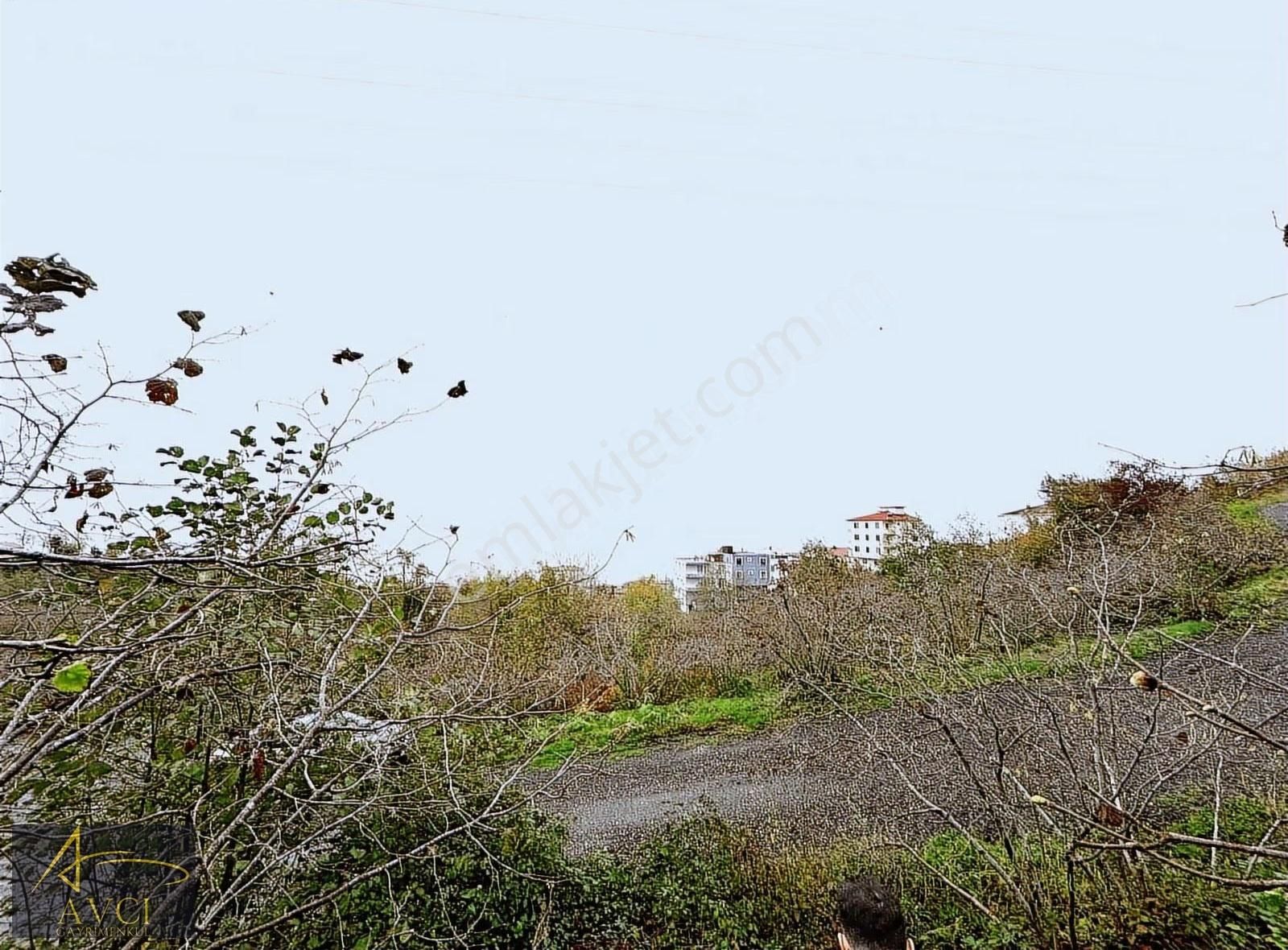 Avcı Gayrimenkulden Gülyalı Yeniköy' De Acil Satılık Arsalar - Görsel 16